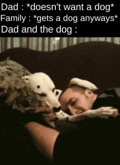 They're in love now!