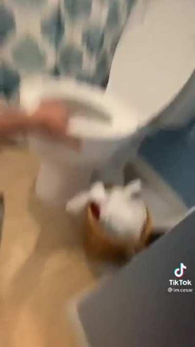 Bro died in front of the toilet