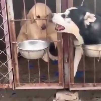 Mine is mine. Yours is also mine.