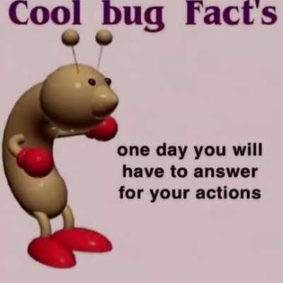 Cool bug facts 😱