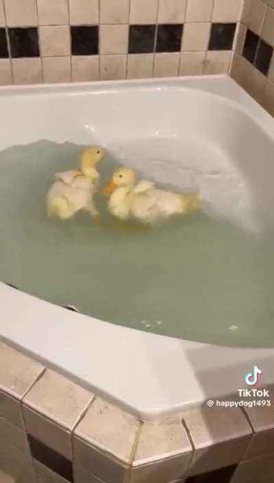 That walk tho…😂