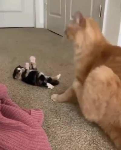 Asking a guy to take your jeans off after work because you don't even have the energy to do that: