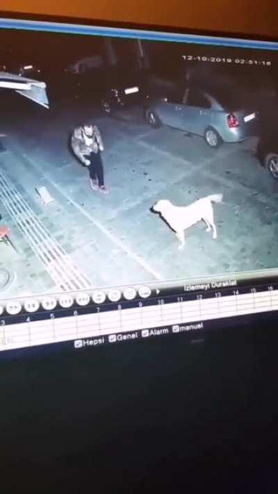 Man beats the fuck up poor stray dog brutally at dance competion battle