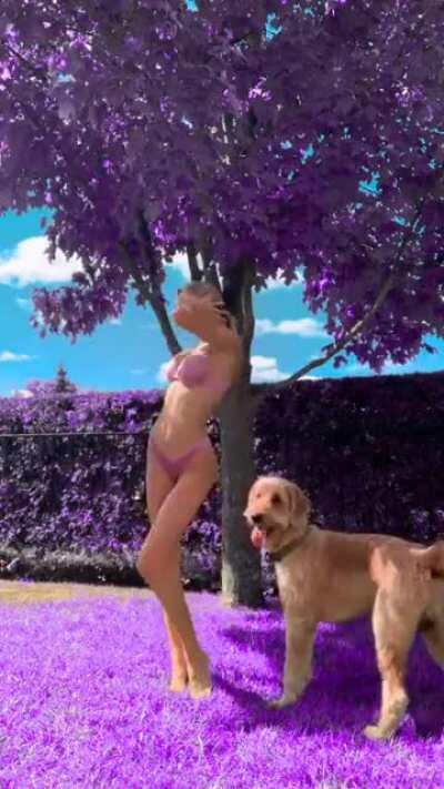 Bouncy 👀 @peepeepoopoogangnamstyle