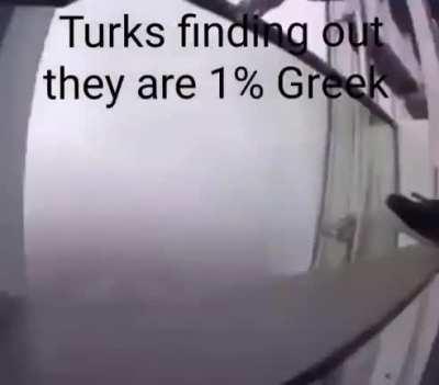 When Turkroaches Fly 🇹🇷🇹🇷🇹🇷