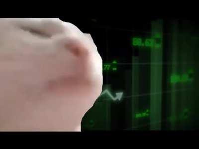 Cat vibing to GME gains