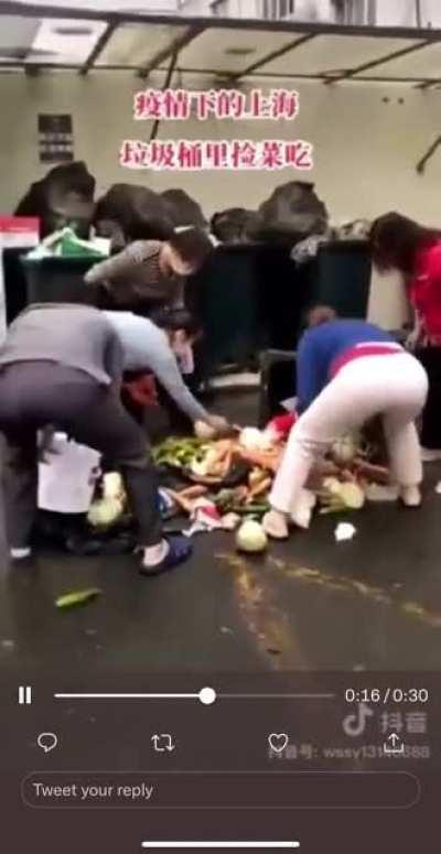 Starving People looking for food in garbage in Shanghai
