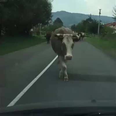 It's all in the leg work.