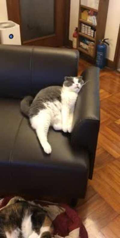 When the Food Coma hits