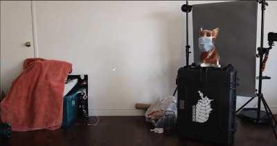 For all the Karen's at the grocery store