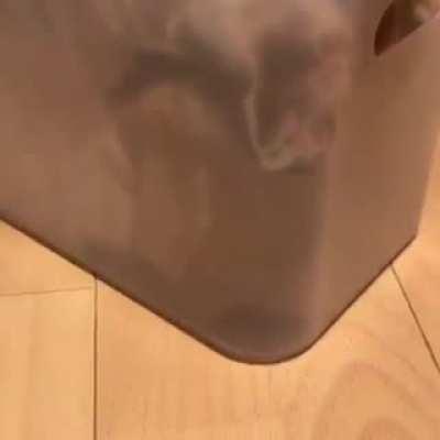 Коти это жидкость