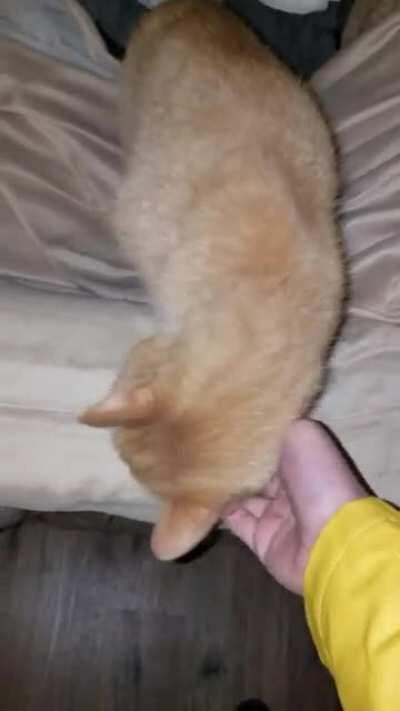 2 packs a day for nearly 17 years.