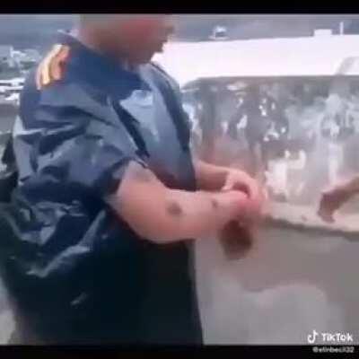 La caída del muro de Berlín be like: