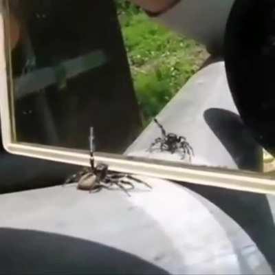 I had heard that Im fantastic, but I have no idea!