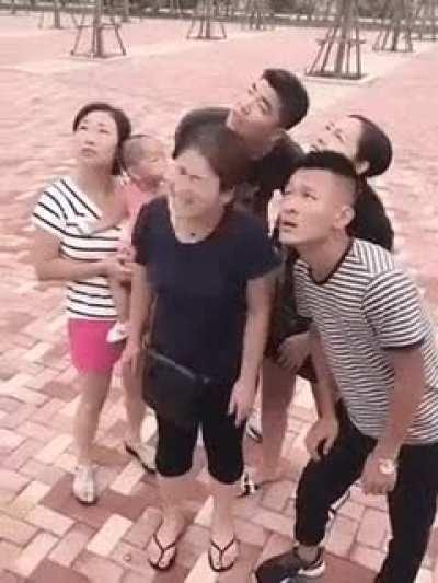 is it a bird? a plane?