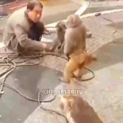 Bob Wicks' ceiling fans are not aptly named as they are attached to the floor and are only equipped with one blade