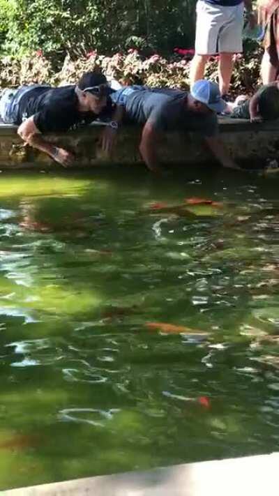 Maskless family at the Dallas Arboretum trying to catch the Koi Fish with their hands