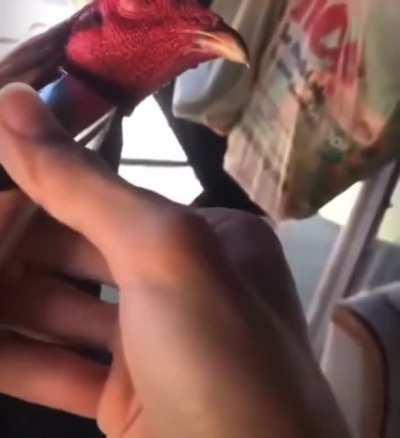 В барбершопе