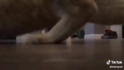 Desperate for munchies