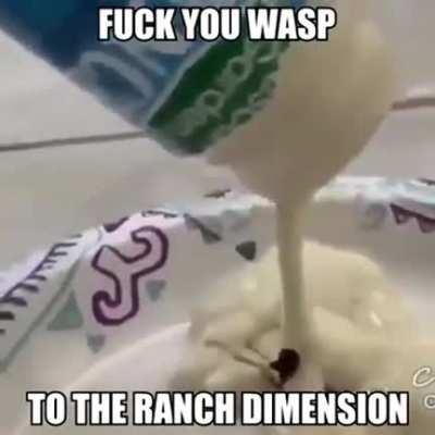 FUCK YOU WASP