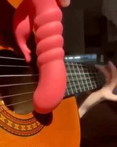 Roditor aitist dezvoltandu-si latura creativa.