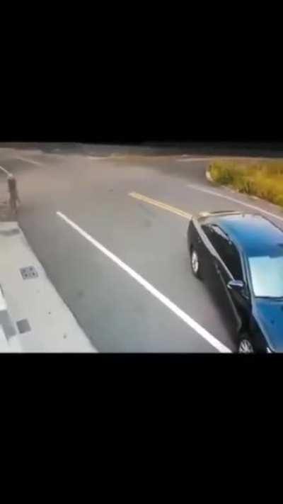 I think he’ll stay in the car next time…road rage on whole different level