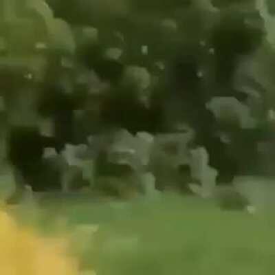 Why would you do that