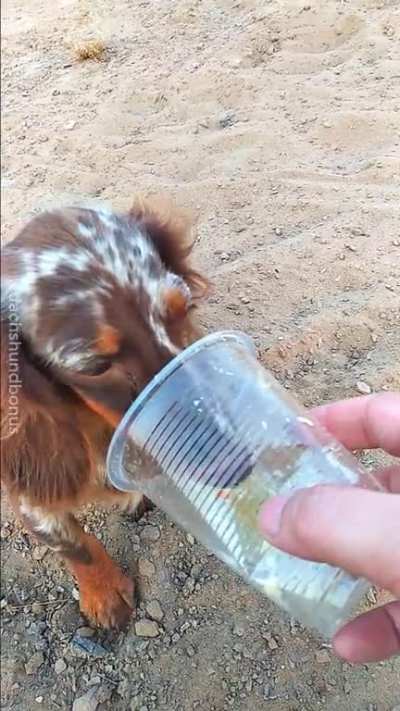 Bonus enjoying crab soup.