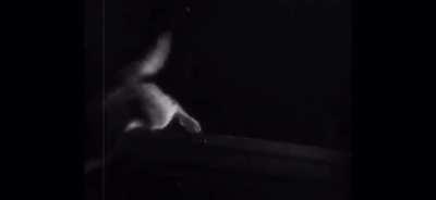 I’m 15 and this is yeet