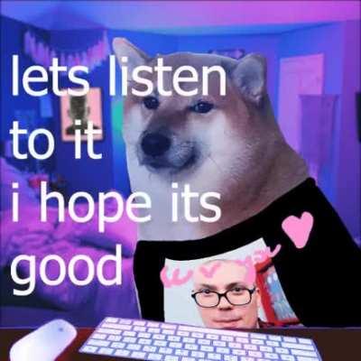 Doggo discovers punk weight for the first time