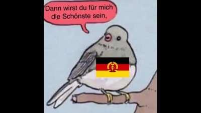 Marsch.mp4