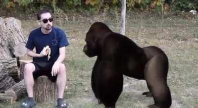 Me and my gorilla