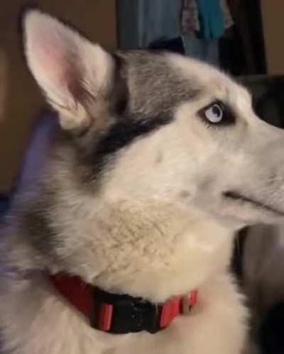 He insists he's innocent