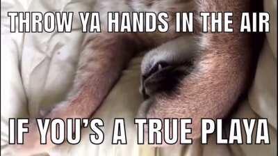 throw ya hands in the air [oc]