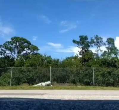 Taking up the dick weapon as a hobby