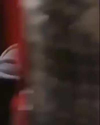 The girl talking in the background 😭