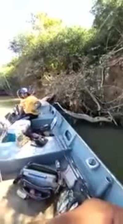 WCGW giving a cookie to a monkey