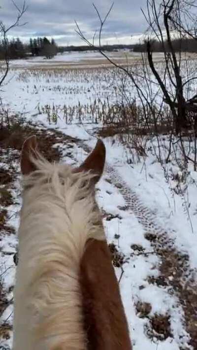For those who like exploring the snowy parts of the RDR world here is my horse, good boah Ben, exploring a snowy trail. Watch till the end to get a glimpse of his personality! (Part 2)