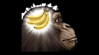 pedi pra um bolsonarista me definir esquerda e direita e ele me mandou um aúdio de 7 minutos