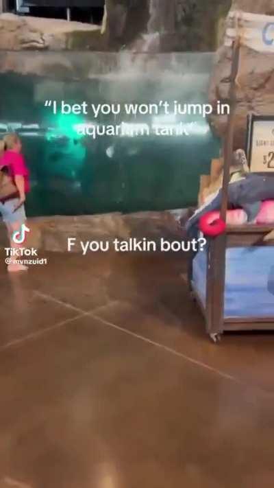 Guy jumps into aquarium