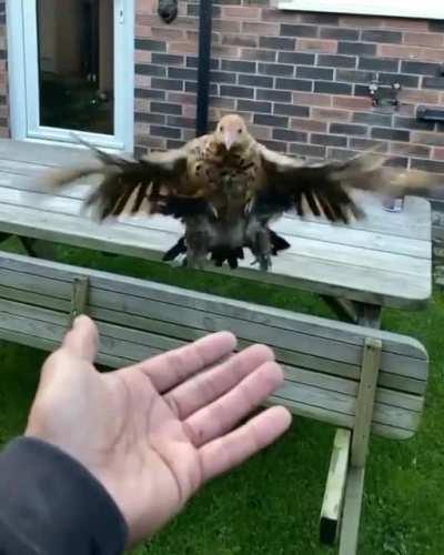 Me and my best friend