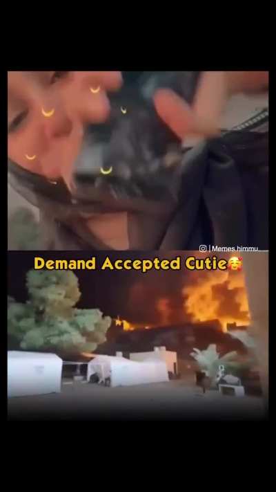 Demand accepted cutie