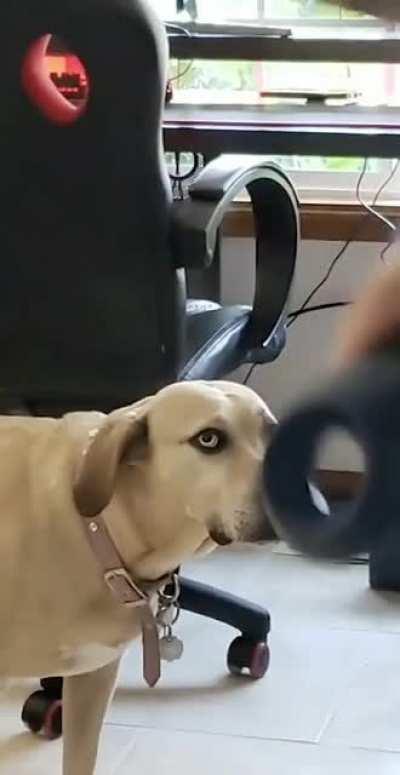 He’s doing the thing again