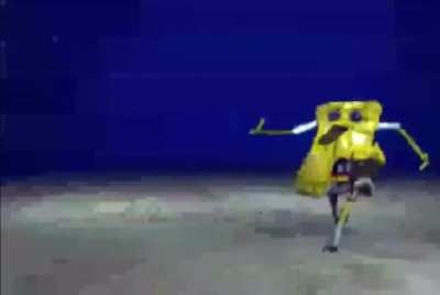 SpongeBob cave eaten alive