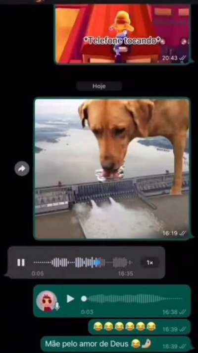 as noticias de zap estao dominando o mundo