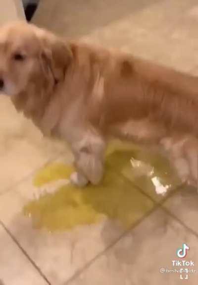 Trevor Lawrence with the playoffs on the line: