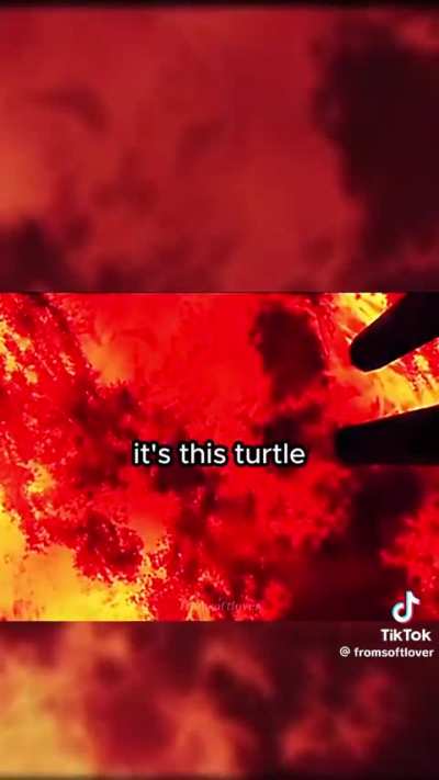 Average reaction to turtle knights: