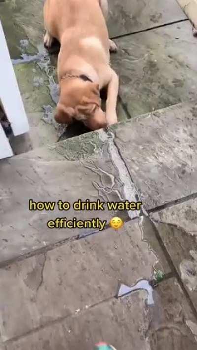 This is what peak performance looks like