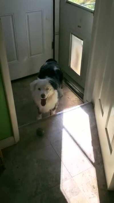 Poppy's package delivery service