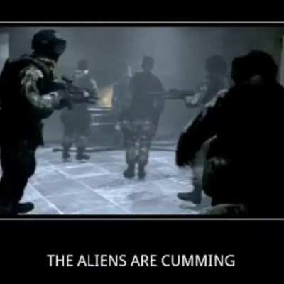 virgin half life vs chad hunt down the freeman